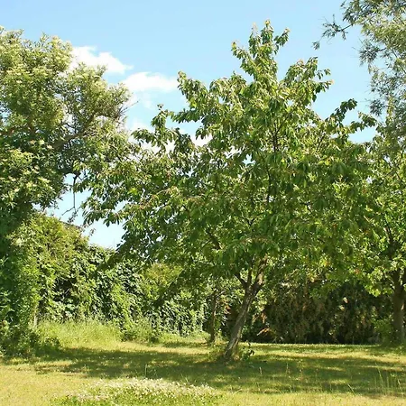 Ferienwohnung Mirow Appartamento Mirow
